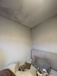 General view of bedroom showing mould staining concentrated around the ceiling perimeter and corners.