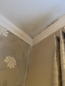 Mould staining at the upper wall/ceiling junction adjacent to the curtains and window area.