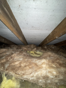 Roof void showing mineral wool insulation and the timber roof/ceiling structure.