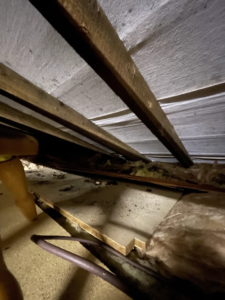 Roof void showing the underside of the roof covering/membrane and timber members.